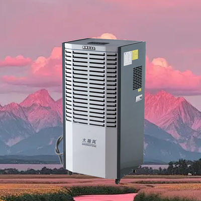 Ein guter Preis. Sicherstellung des Eigentumsschutzes mit einem hochleistungsfähigen kommerziellen Entfeuchtungsgerät für eine optimale Feuchtigkeitskontrolle Im Internet